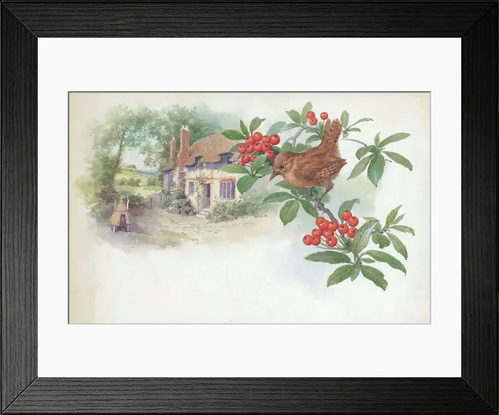 Framed Print : Wren and cottage Framed Print : Wren and cottage