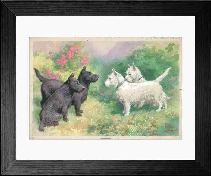 Framed Print : A Little Black and White Framed Print : A Little Black and White