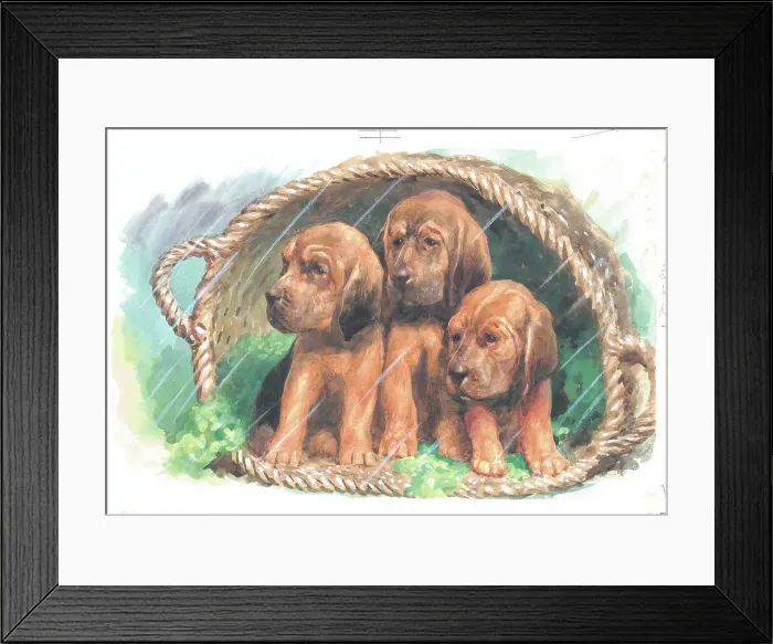 Framed Print : Any Port in a Storm Dogs Watercolour painting Framed Print : Any Port in a Storm Dogs Watercolour painting