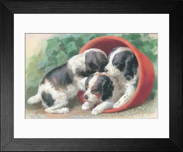 Framed Print : Make Room for Me Framed Print : Make Room for Me