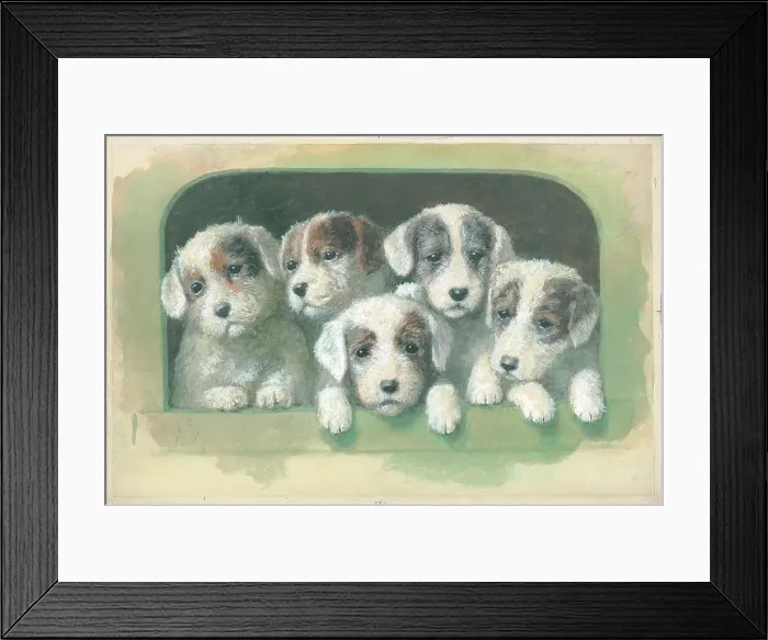 Framed Print : Sealyham Pups Framed Print : Sealyham Pups