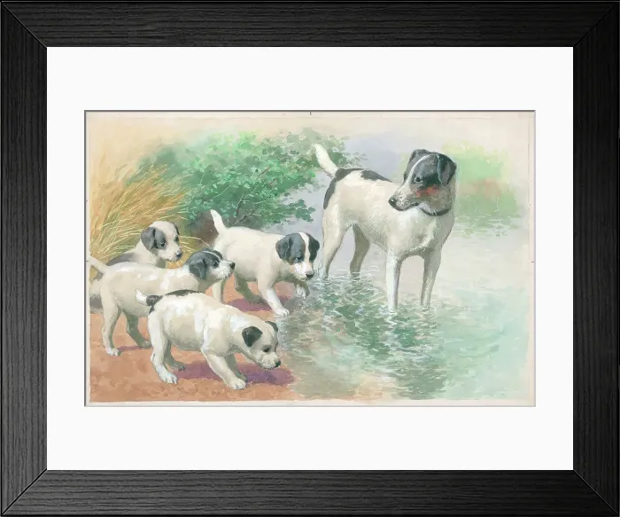 Framed Print : The First Dip Framed Print : The First Dip