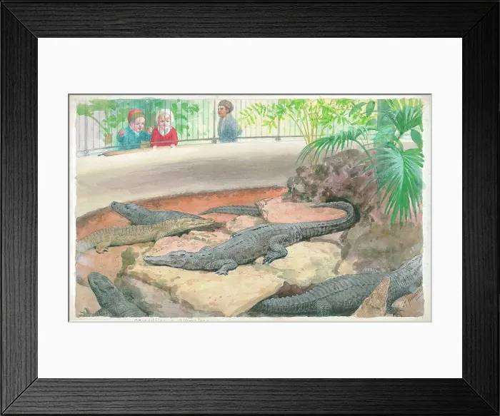 Framed Print : Crocodiles and Alligators at London Zoo Framed Print : Crocodiles and Alligators at London Zoo