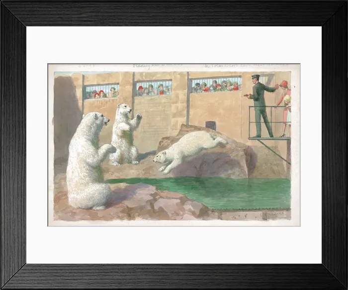 Framed Print : Feeding Time at the Zoo. The Polar Bears Earn their Dinner Framed Print : Feeding Time at the Zoo. The Polar Bears Earn their Dinner
