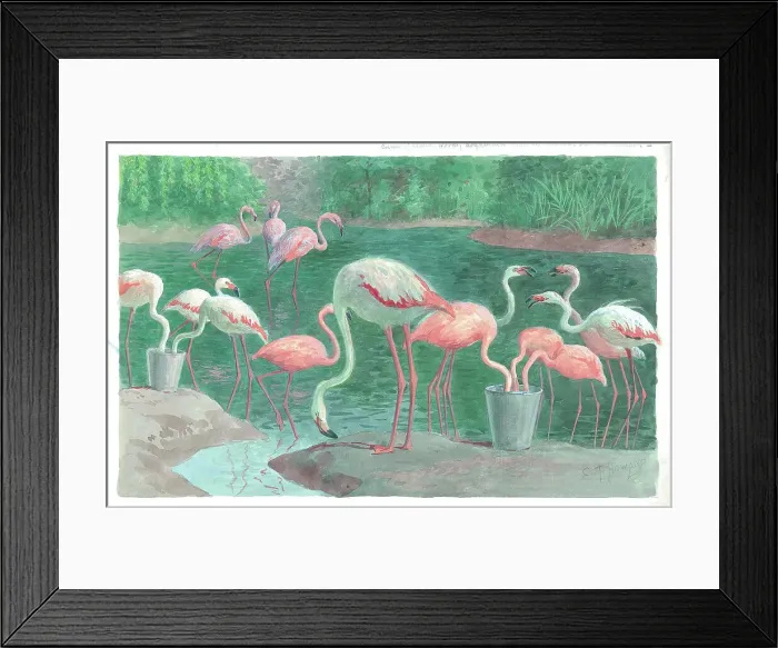 Framed Print : London Zoo, Flamingoes at London Zoo Framed Print : London Zoo, Flamingoes at London Zoo
