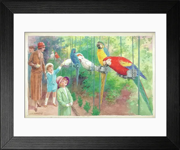 Framed Print : Macaws and Cockatoos outside the Parrot House at London Zoo Framed Print : Macaws and Cockatoos outside the Parrot House at London Zoo