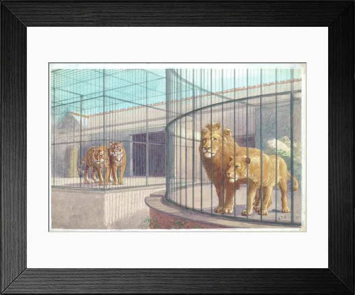 Framed Print : The Lion House at London Zoo Framed Print : The Lion House at London Zoo