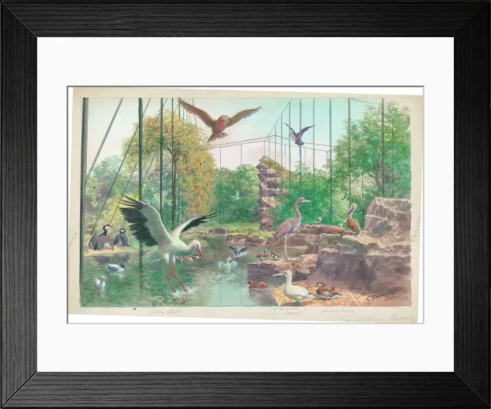 Framed Print : The Southern Aviary at London Zoo Framed Print : The Southern Aviary at London Zoo