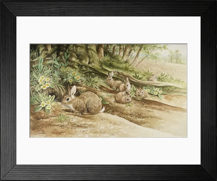 Framed Print : Rabbits by David Parry Framed Print : Rabbits by David Parry