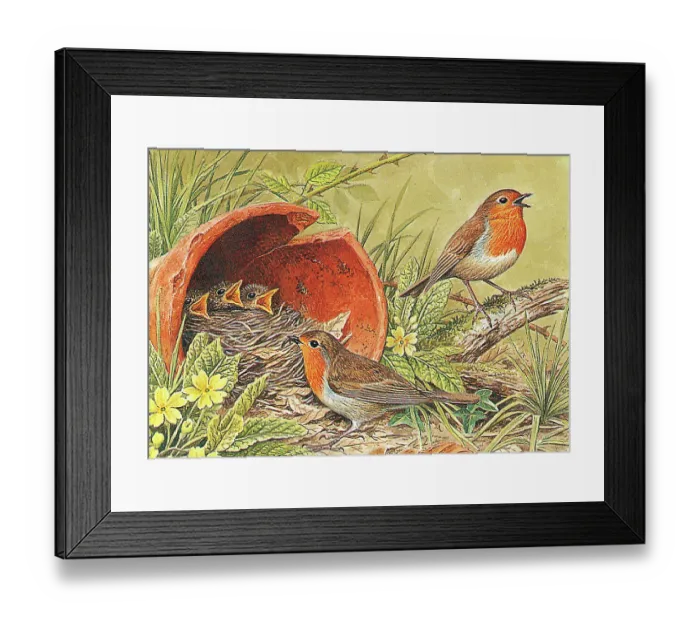 Framed Print : Robins by flower pot by David Parry Framed Print : Robins by flower pot by David Parry