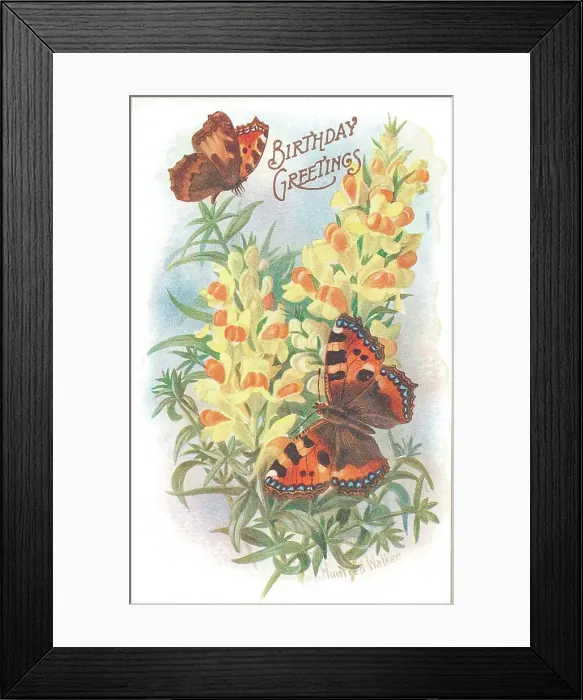 Framed Print : birthday postcard design with butterflies