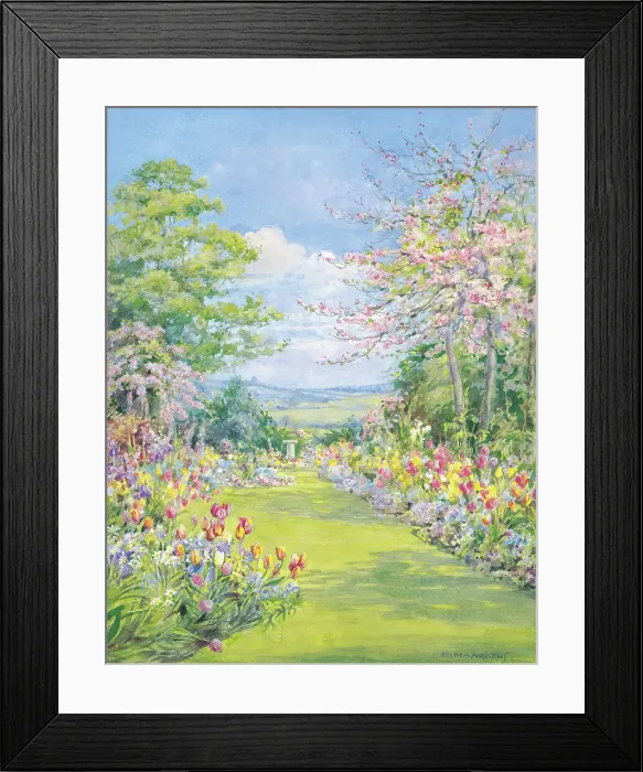 Framed Print : Blossom time