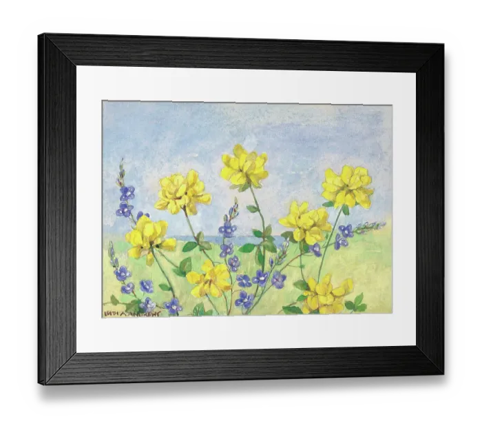 Framed Print : Bird's Foot Trefoil and Speedwell Gardens Garden Framed Print : Bird's Foot Trefoil and Speedwell Gardens Garden