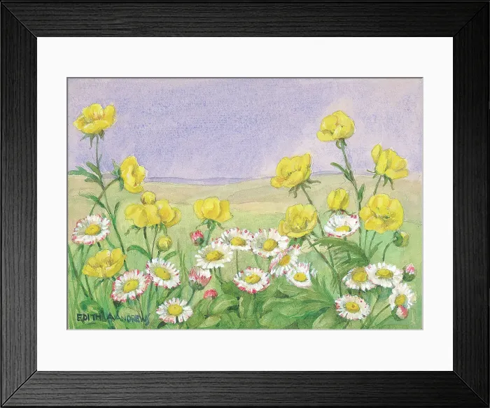 Framed Print : Buttercups and Daisies - Gardens Framed Print : Buttercups and Daisies - Gardens