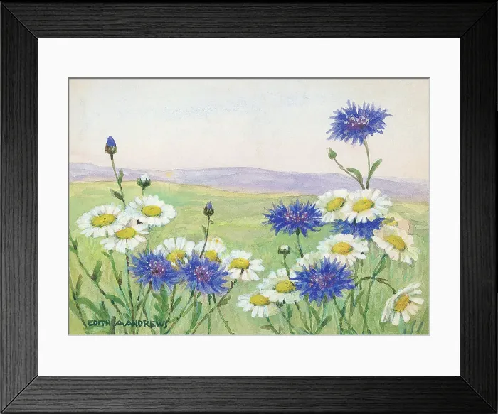 Framed Print : Cornflowers and daisies - Gardens Framed Print : Cornflowers and daisies - Gardens