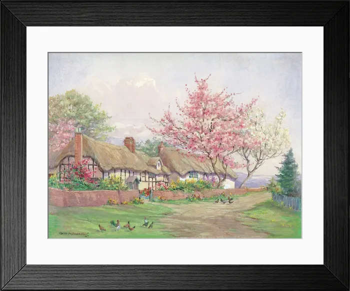 Framed Print : Cottage Gardens Garden Flowers Watercolour painting Framed Print : Cottage Gardens Garden Flowers Watercolour painting