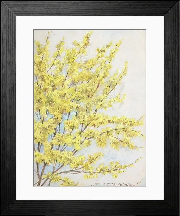 Framed Print : No title - Gardens Framed Print : No title - Gardens