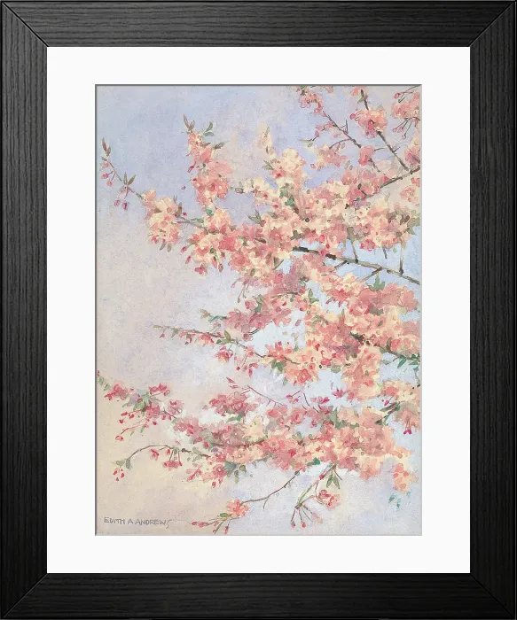 Framed Print : No title tree blossum Gardens Garden Flowers Framed Print : No title tree blossum Gardens Garden Flowers