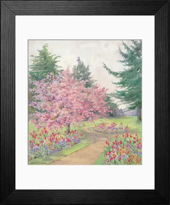 Framed Print : Garden (tulips)- Gardens Framed Print : Garden (tulips)- Gardens