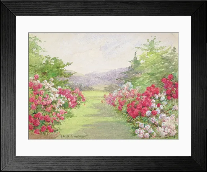 Framed Print : Garden (rhododendron borders) - Gardens Framed Print : Garden (rhododendron borders) - Gardens