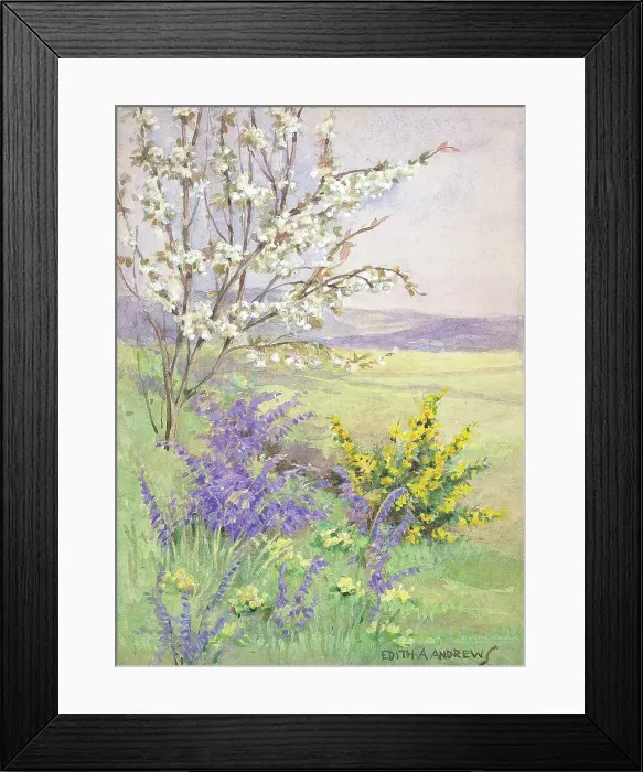 Framed Print : Meadow - Gardens Framed Print : Meadow - Gardens