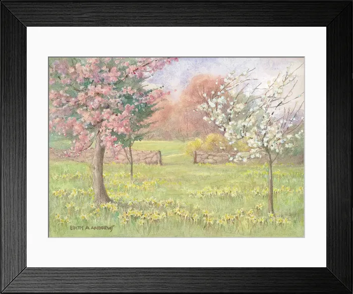 Framed Print : Orchard with Daffodils - Gardens Framed Print : Orchard with Daffodils - Gardens