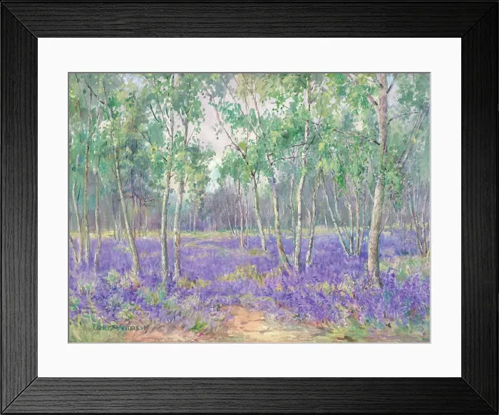 Framed Print : Bluebell Wood Framed Print : Bluebell Wood