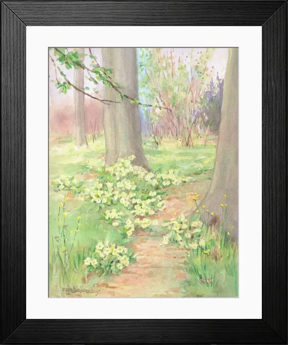 Framed Print : Woodland - Gardens Framed Print : Woodland - Gardens