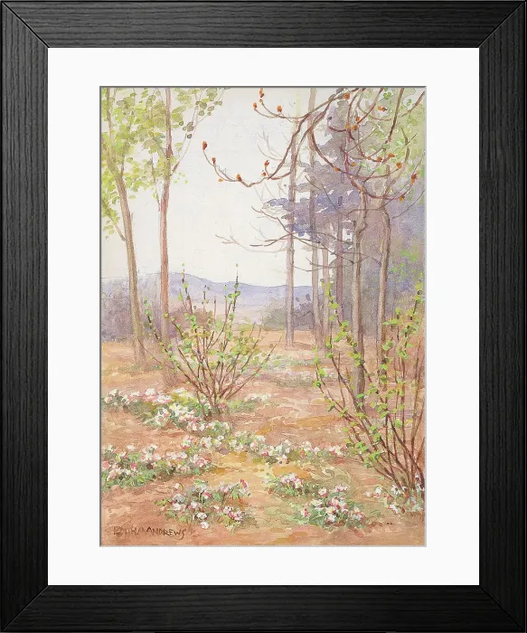 Framed Print : Woodland Scene - Gardens Framed Print : Woodland Scene - Gardens