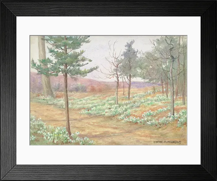 Framed Print : Woodland with Snowdrops - Gardens Framed Print : Woodland with Snowdrops - Gardens