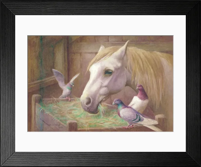 Framed Print : Horse and pigeons Framed Print : Horse and pigeons