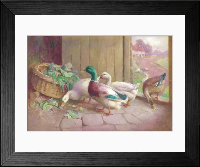 Framed Print : Ducks and geese Framed Print : Ducks and geese