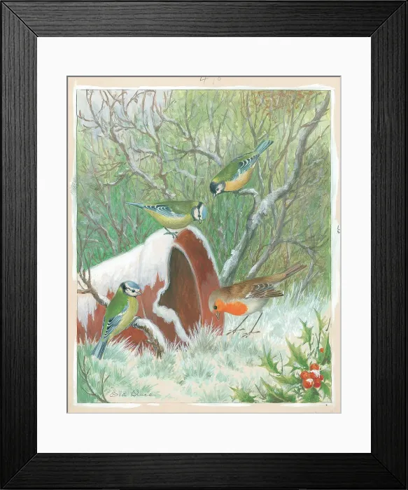 Framed Print : Two Blue Tits, Great Tit and Robin Framed Print : Two Blue Tits, Great Tit and Robin