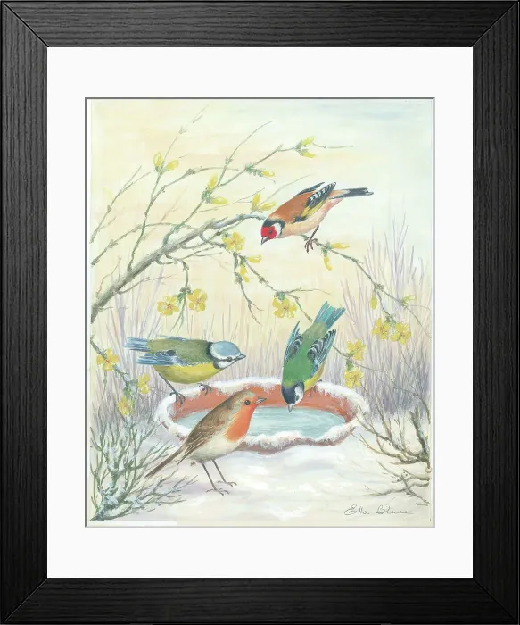 Framed Print : Goldfinch Blue Tit Great and Robin British Birds Framed Print : Goldfinch Blue Tit Great and Robin British Birds