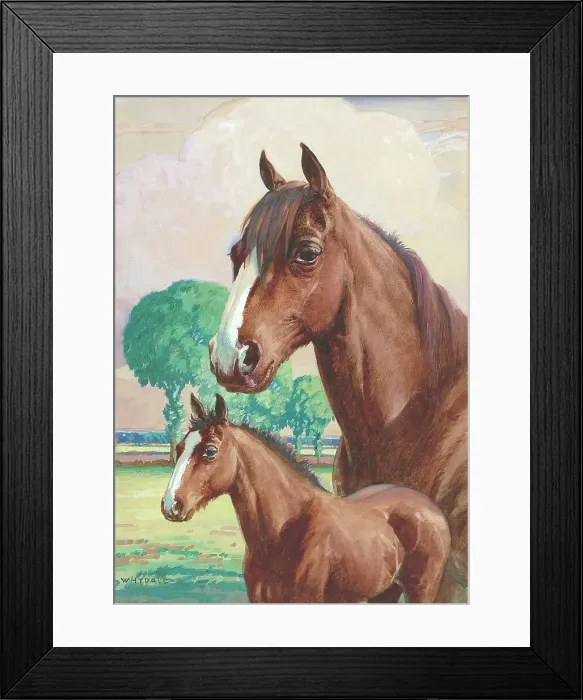 Framed Print : Horse and foal Framed Print : Horse and foal