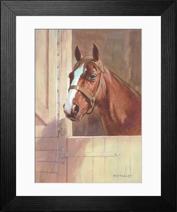 Framed Print : Horse in stable Framed Print : Horse in stable