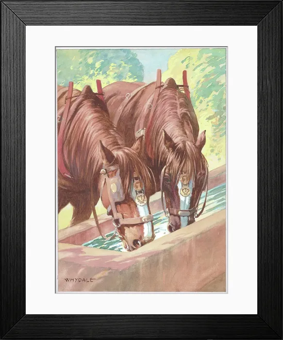 Framed Print : Working horses having a drink Framed Print : Working horses having a drink