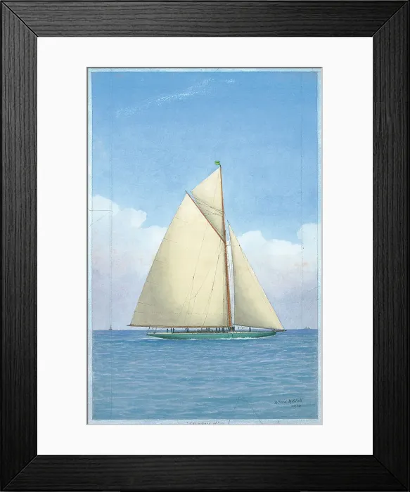 Framed Print : Shamrock IV Framed Print : Shamrock IV