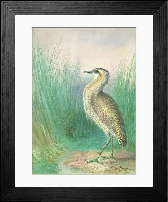 Framed Print : Bitten by George Rankin Framed Print : Bitten by George Rankin