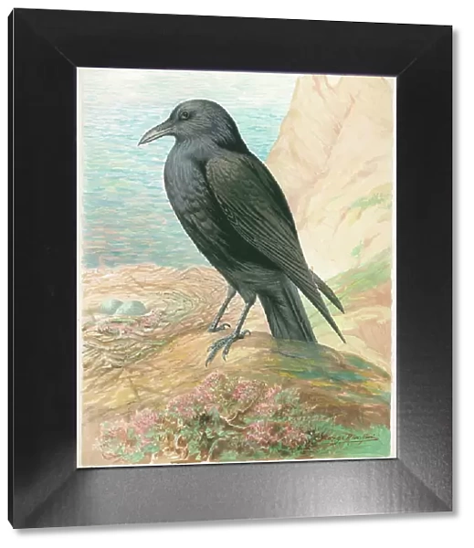 Raven by George Rankin
