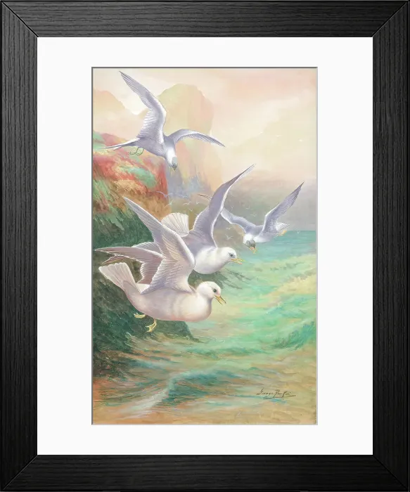 Framed Print : Seagulls by George Rankin Framed Print : Seagulls by George Rankin