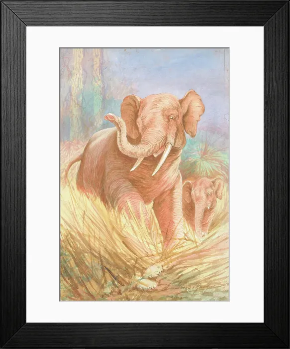 Framed Print : Elephants by George Rankin Framed Print : Elephants by George Rankin