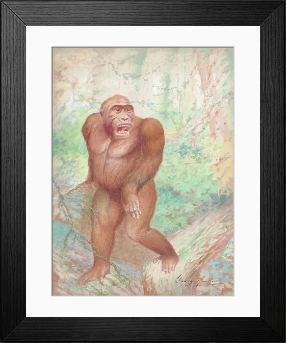 Framed Print : Gorilla Wildlife Africa Watercolour painting Framed Print : Gorilla Wildlife Africa Watercolour painting