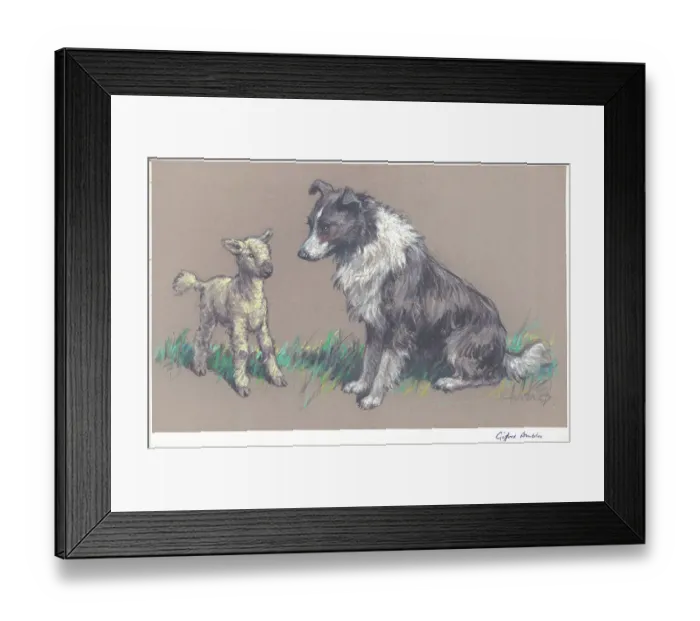 Framed Print : Best Friends Framed Print : Best Friends