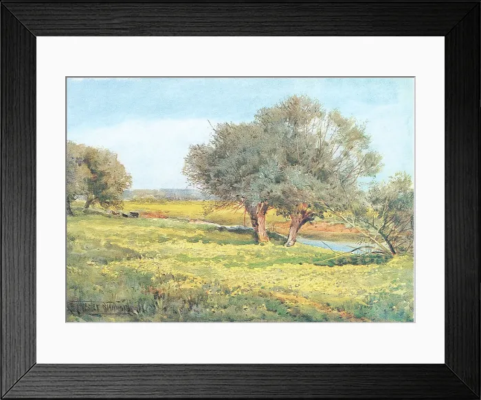 Framed Print : The watermeadows Framed Print : The watermeadows