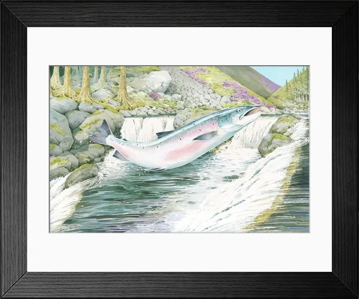 Framed Print : Salmon by H.J. Oliver Framed Print : Salmon by H.J. Oliver