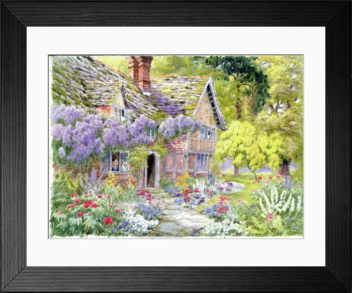Framed Print : Wisteria time Framed Print : Wisteria time
