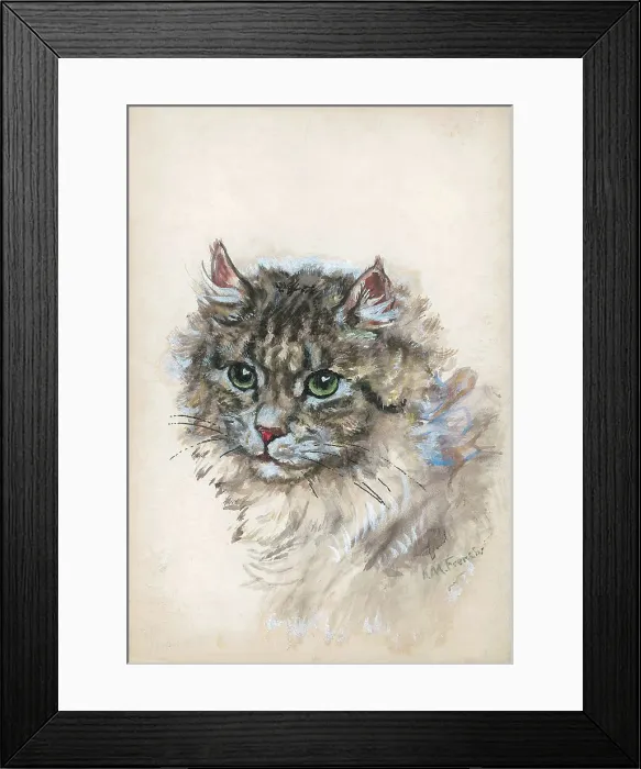 Framed Print : Cat by I. M. French