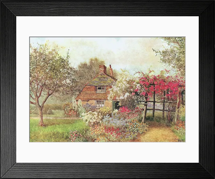 Framed Print : Cottage at Icklesham, Sussex Framed Print : Cottage at Icklesham, Sussex