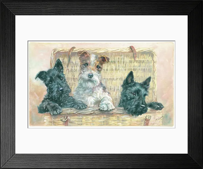 Framed Print : A Basket of Mischief Framed Print : A Basket of Mischief